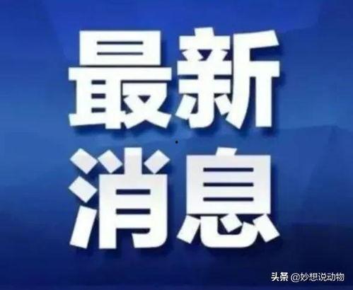 广西热视爆料最新消息新闻,最新突发新闻事件回顾